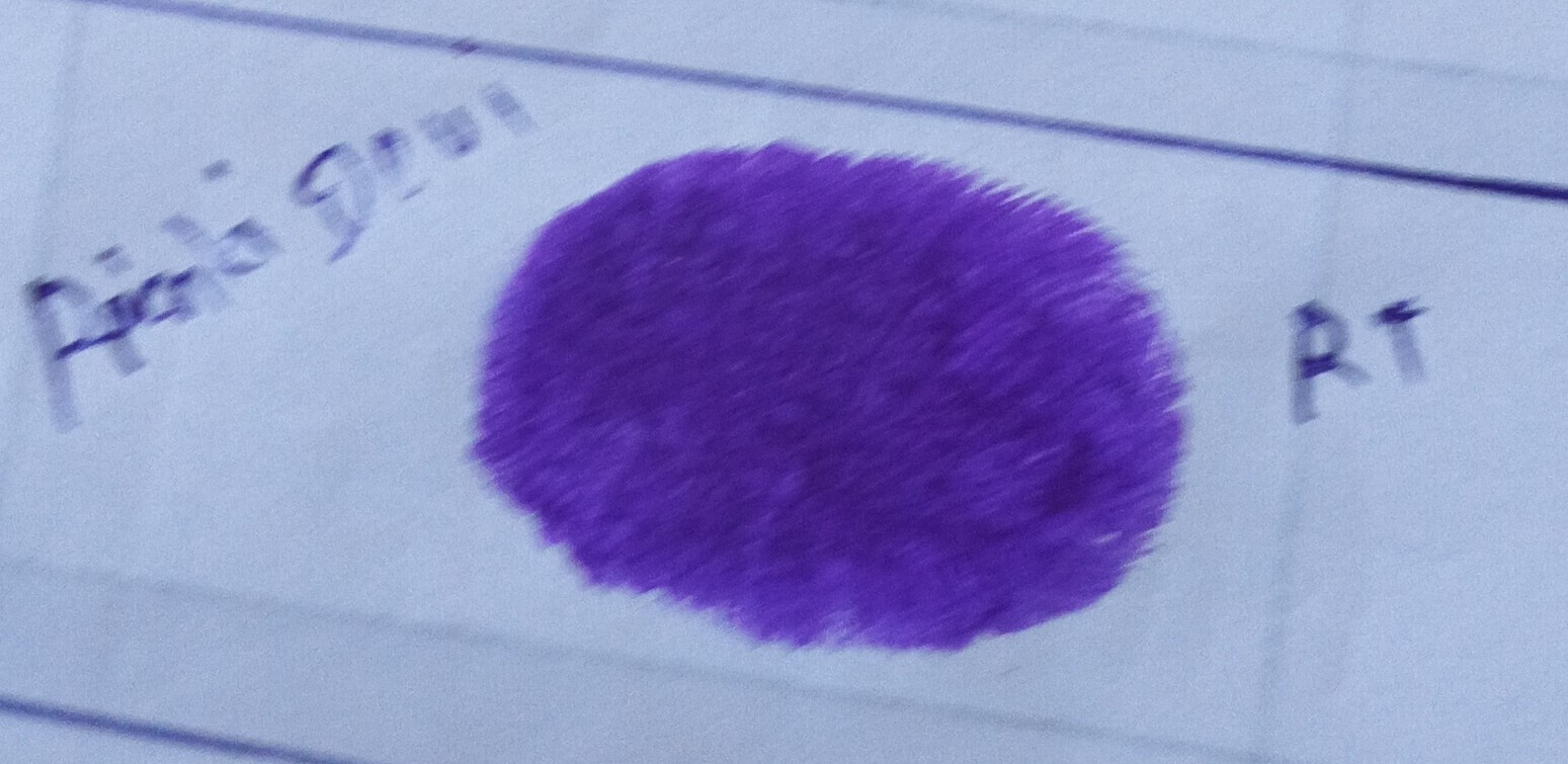 13augitem