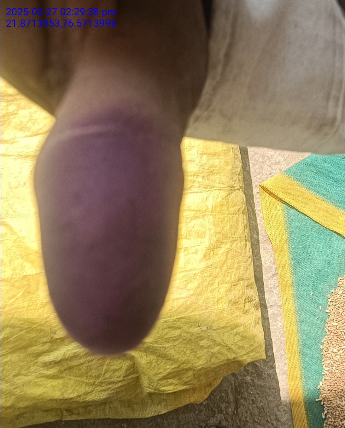 13augitem
