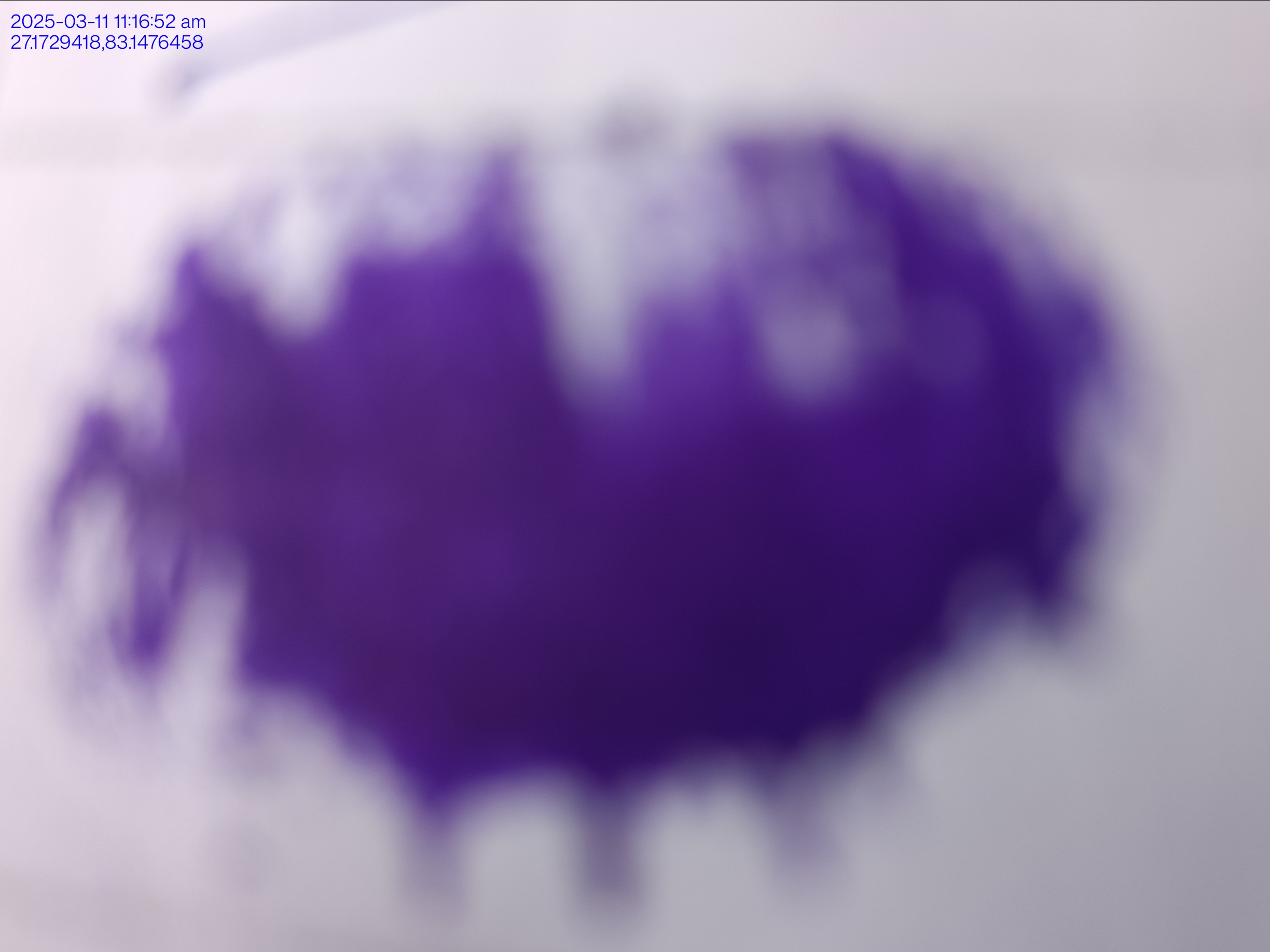 13augitem