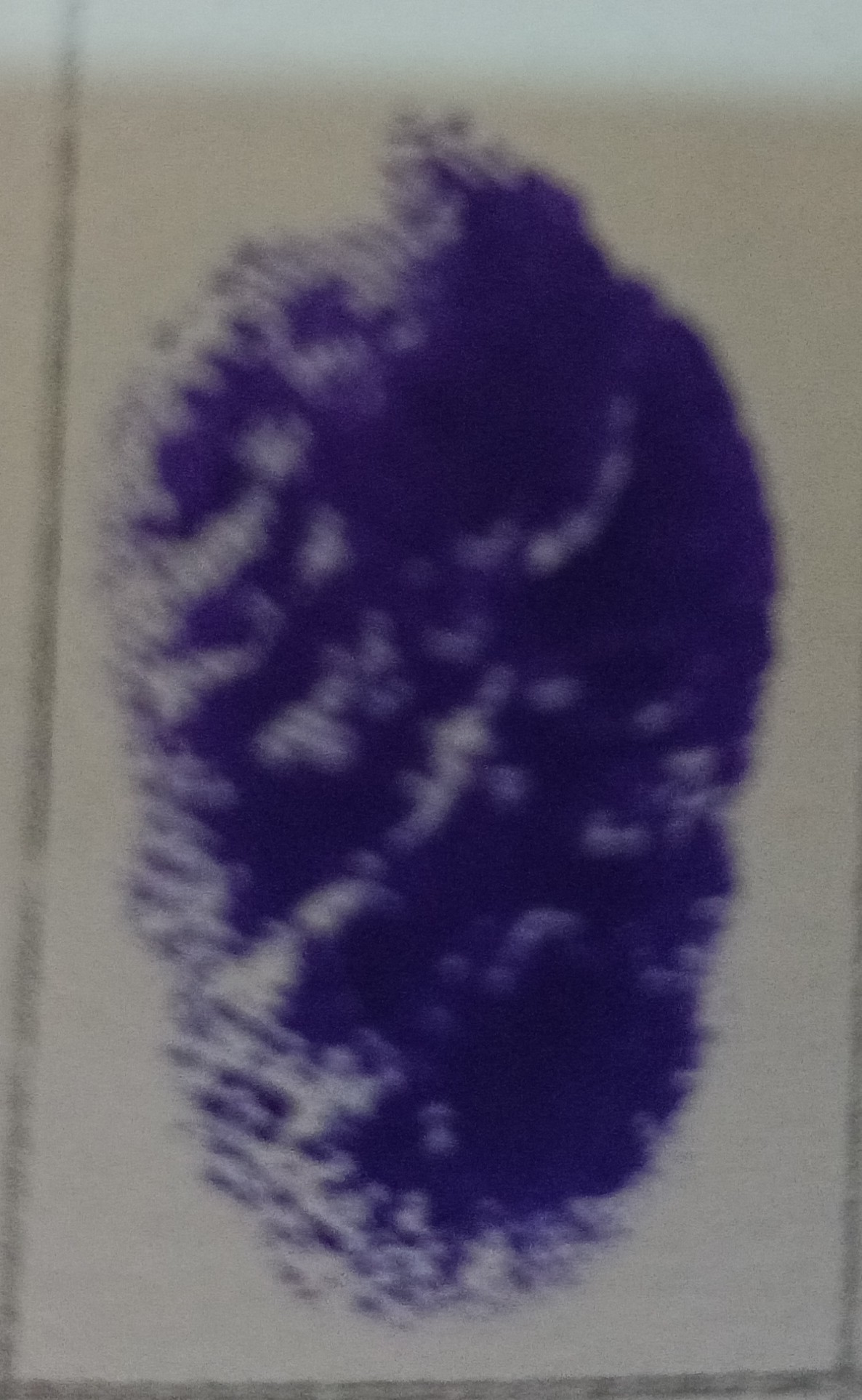 13augitem