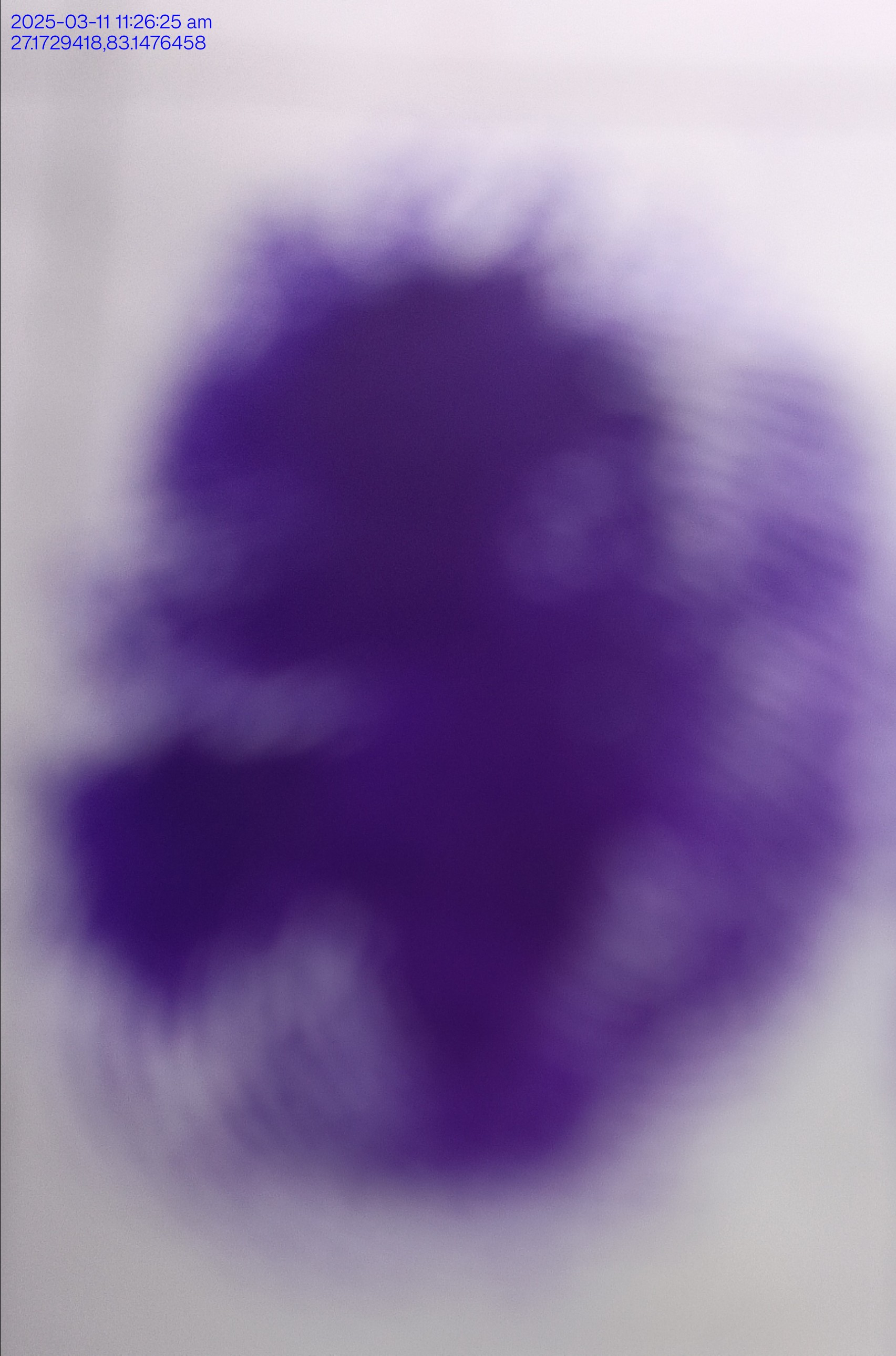 13augitem