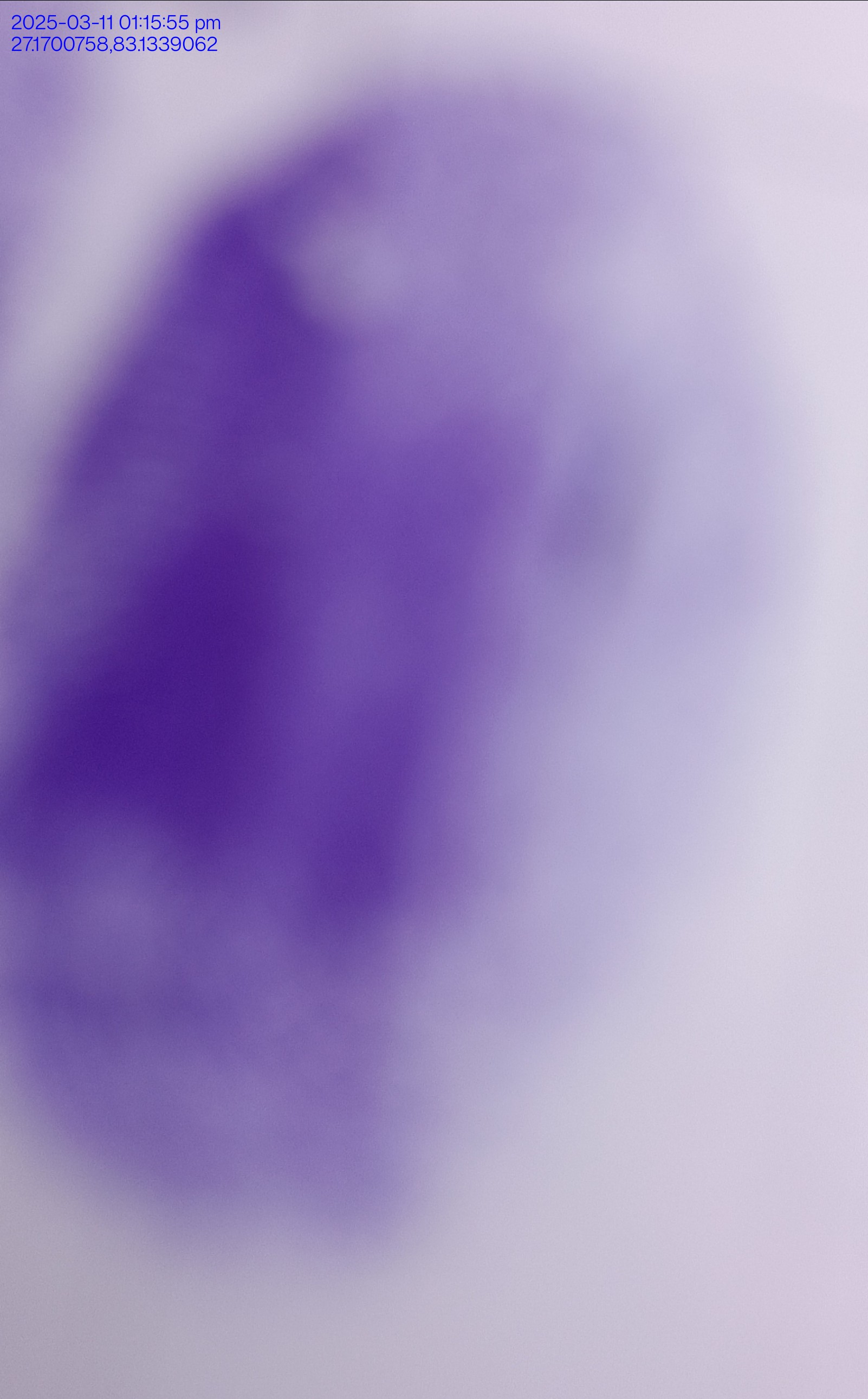 13augitem