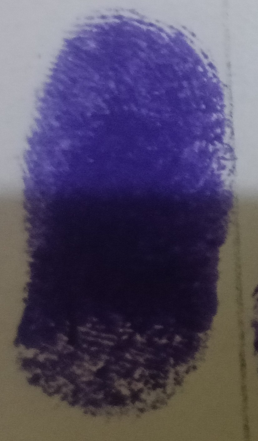 13augitem