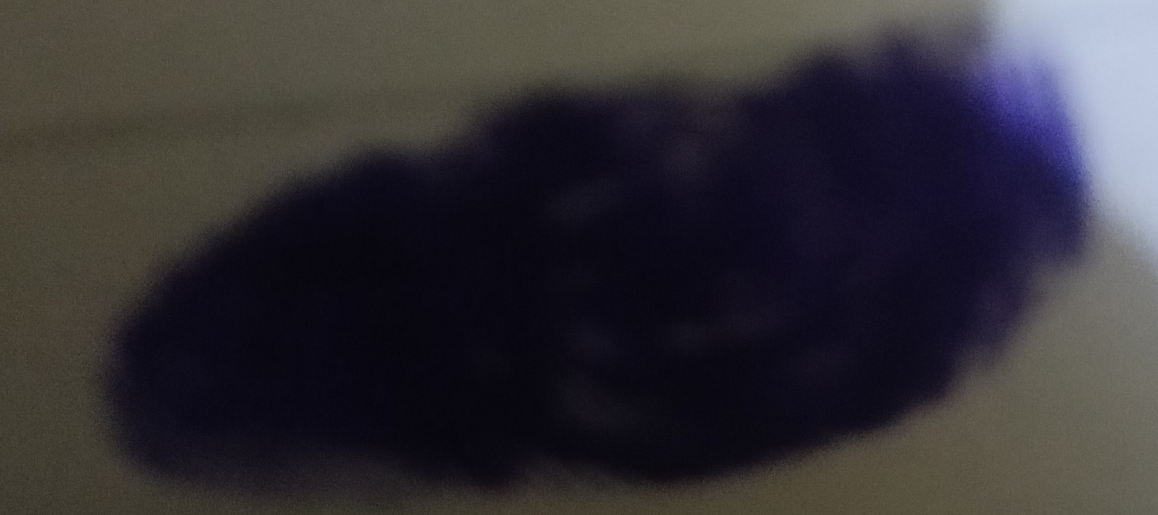 13augitem