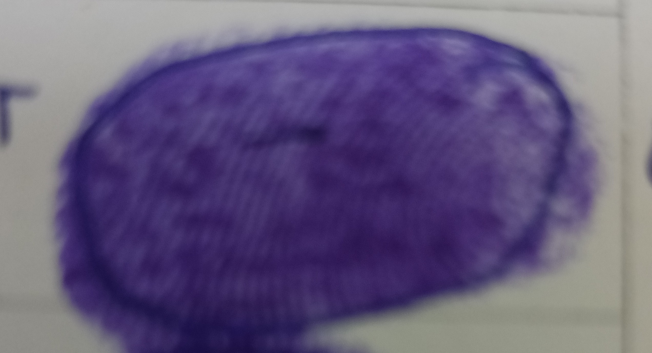13augitem