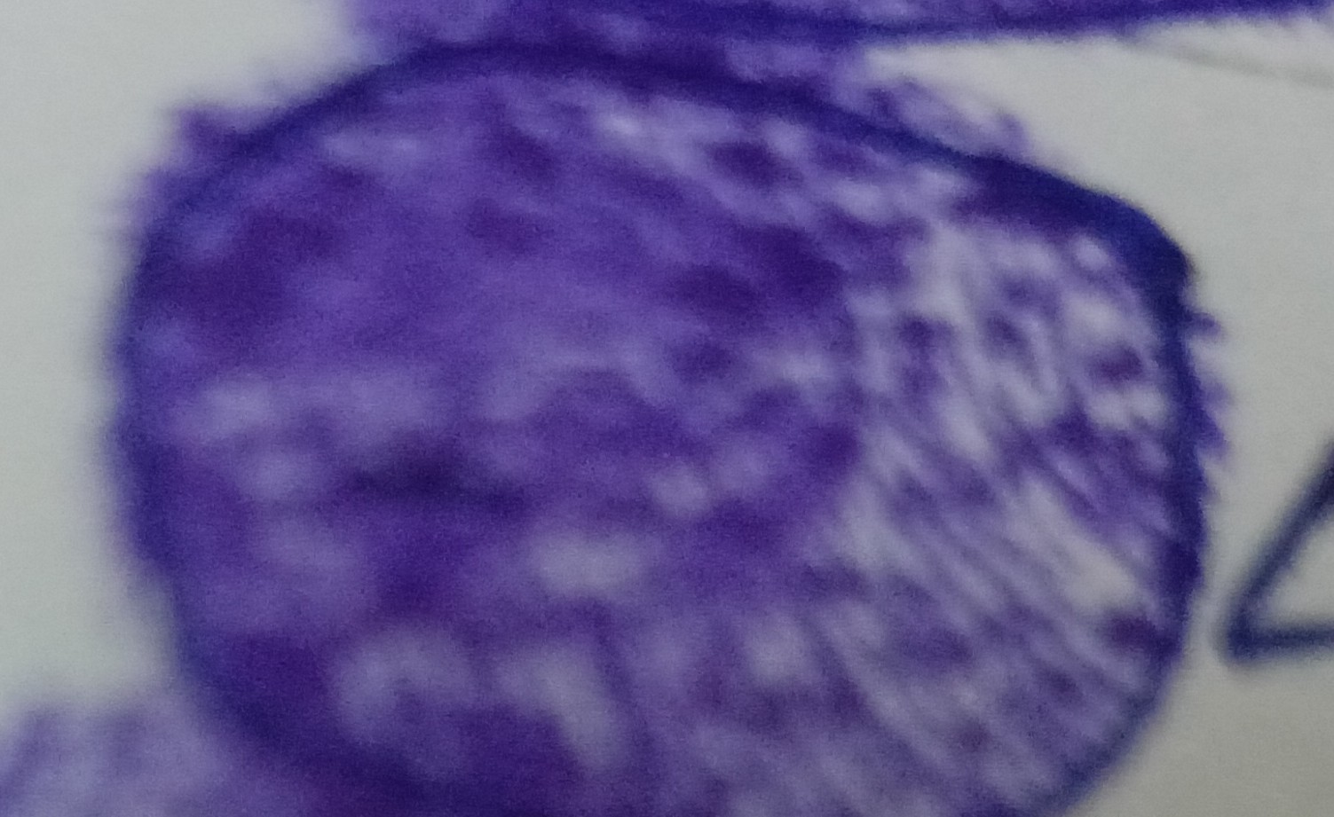 13augitem