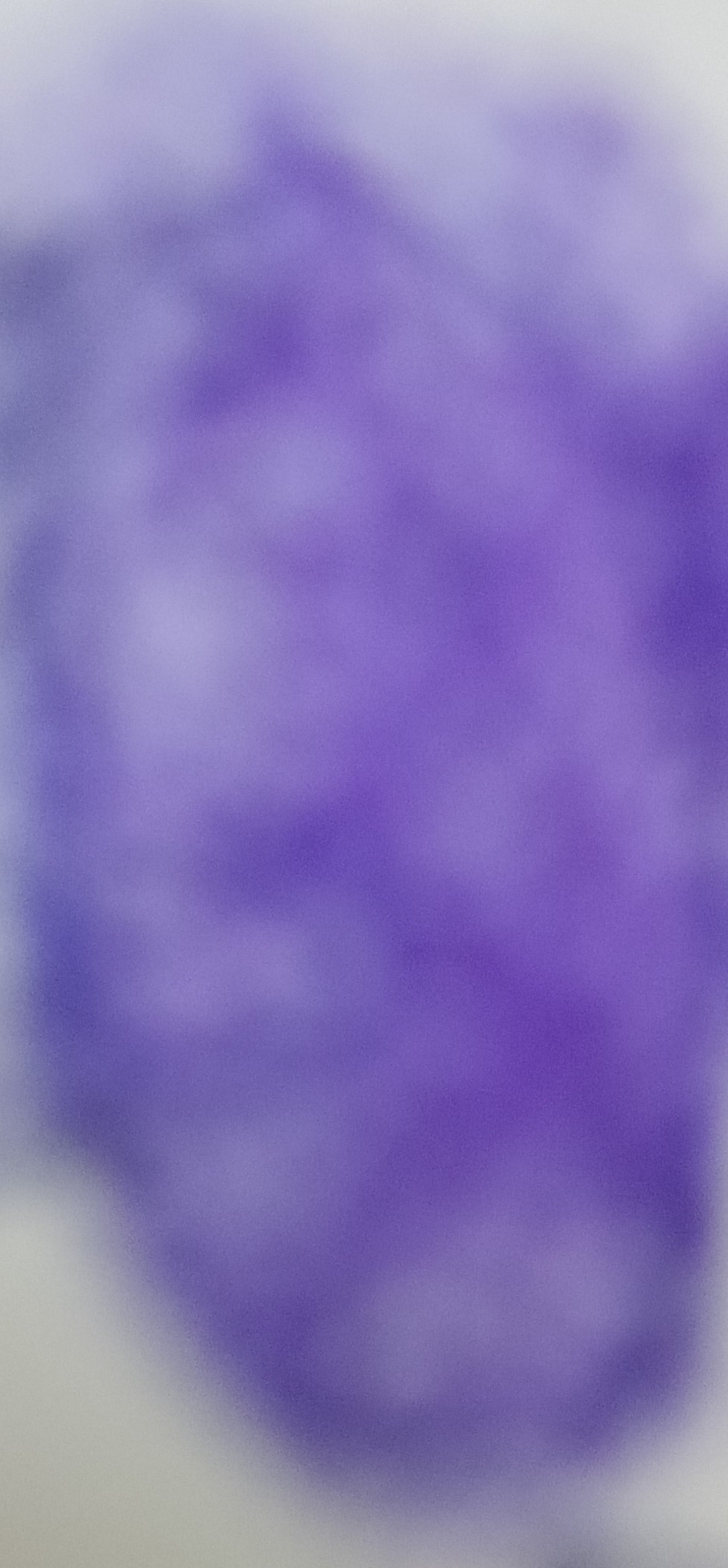 13augitem