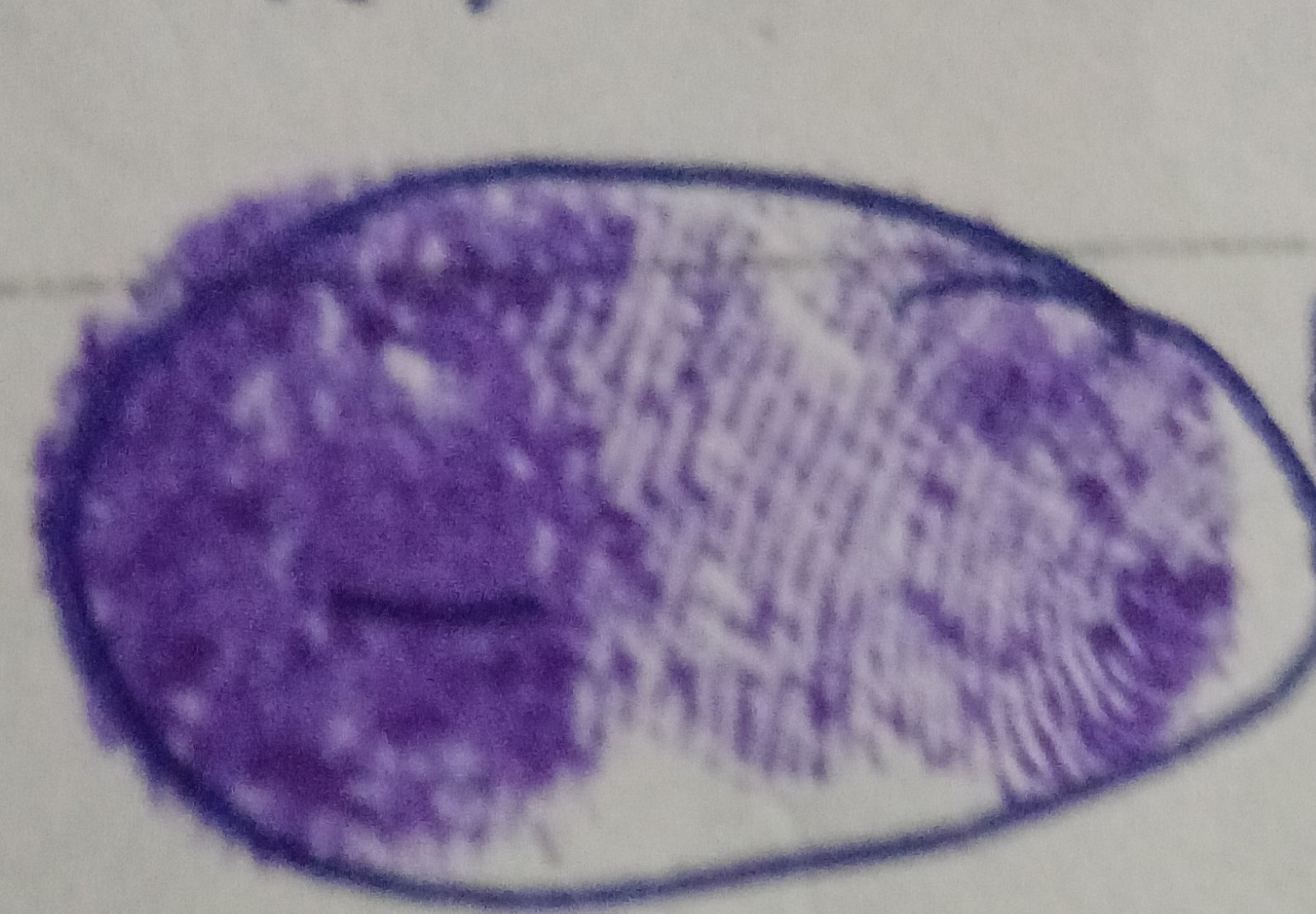 13augitem