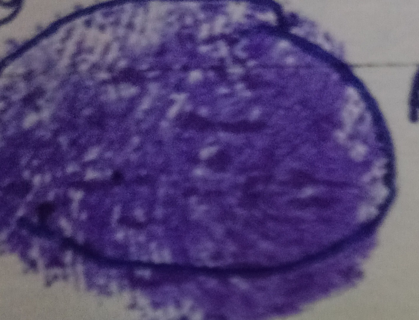 13augitem