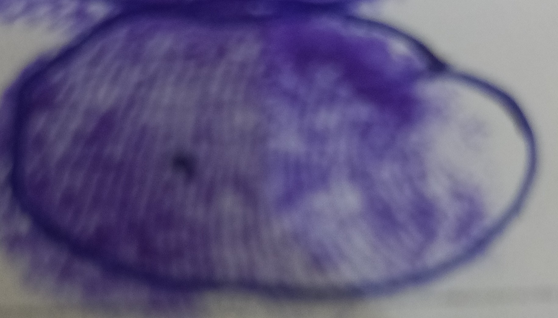 13augitem