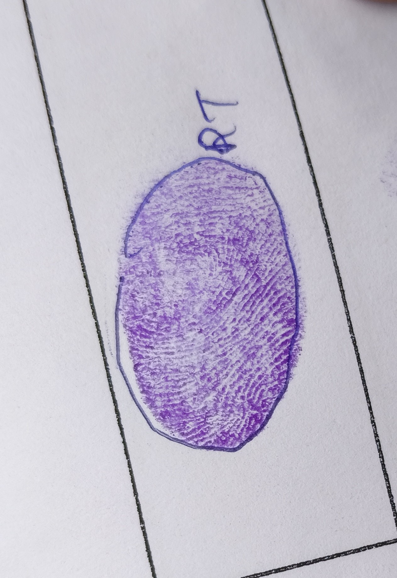 13augitem