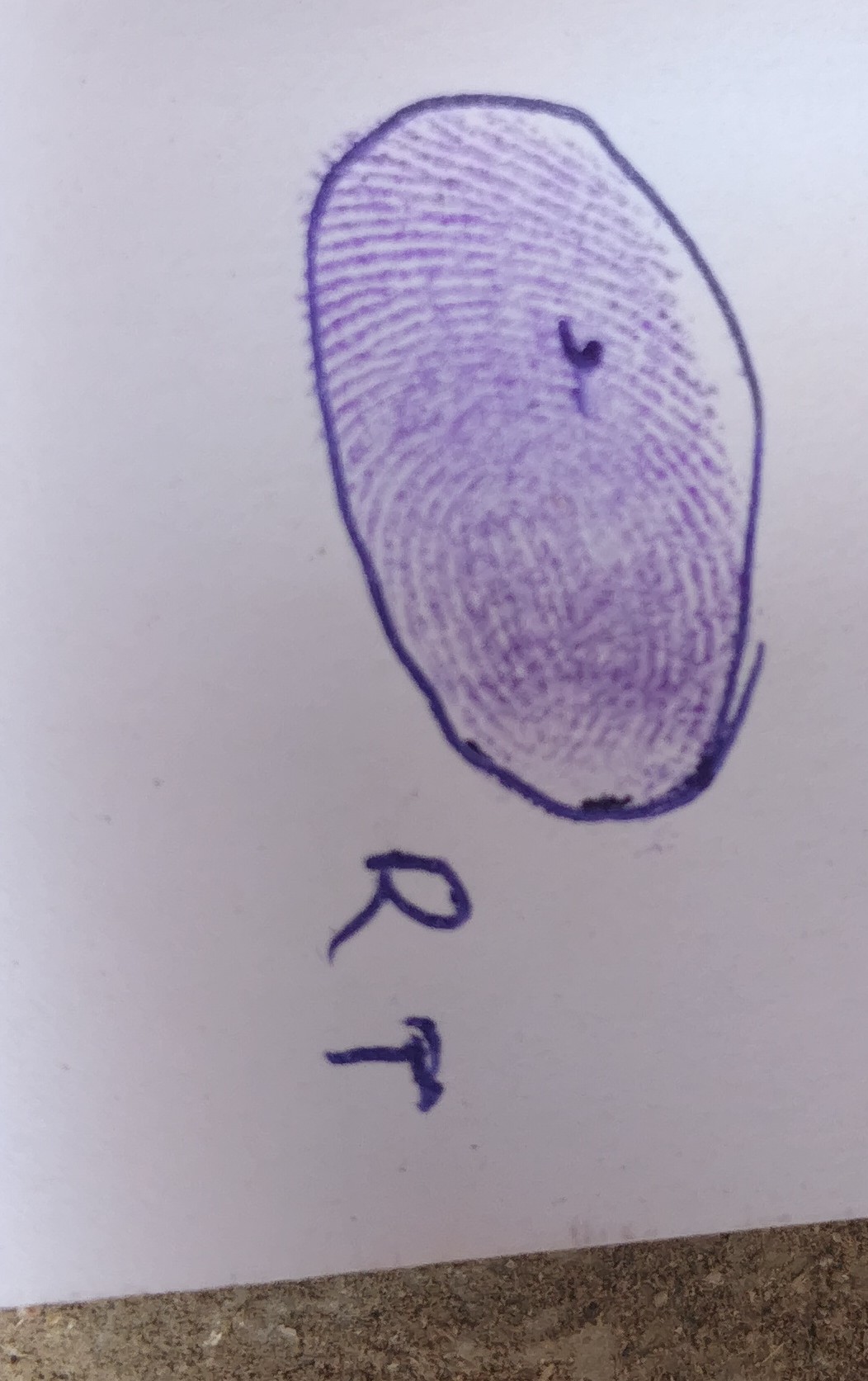 13augitem
