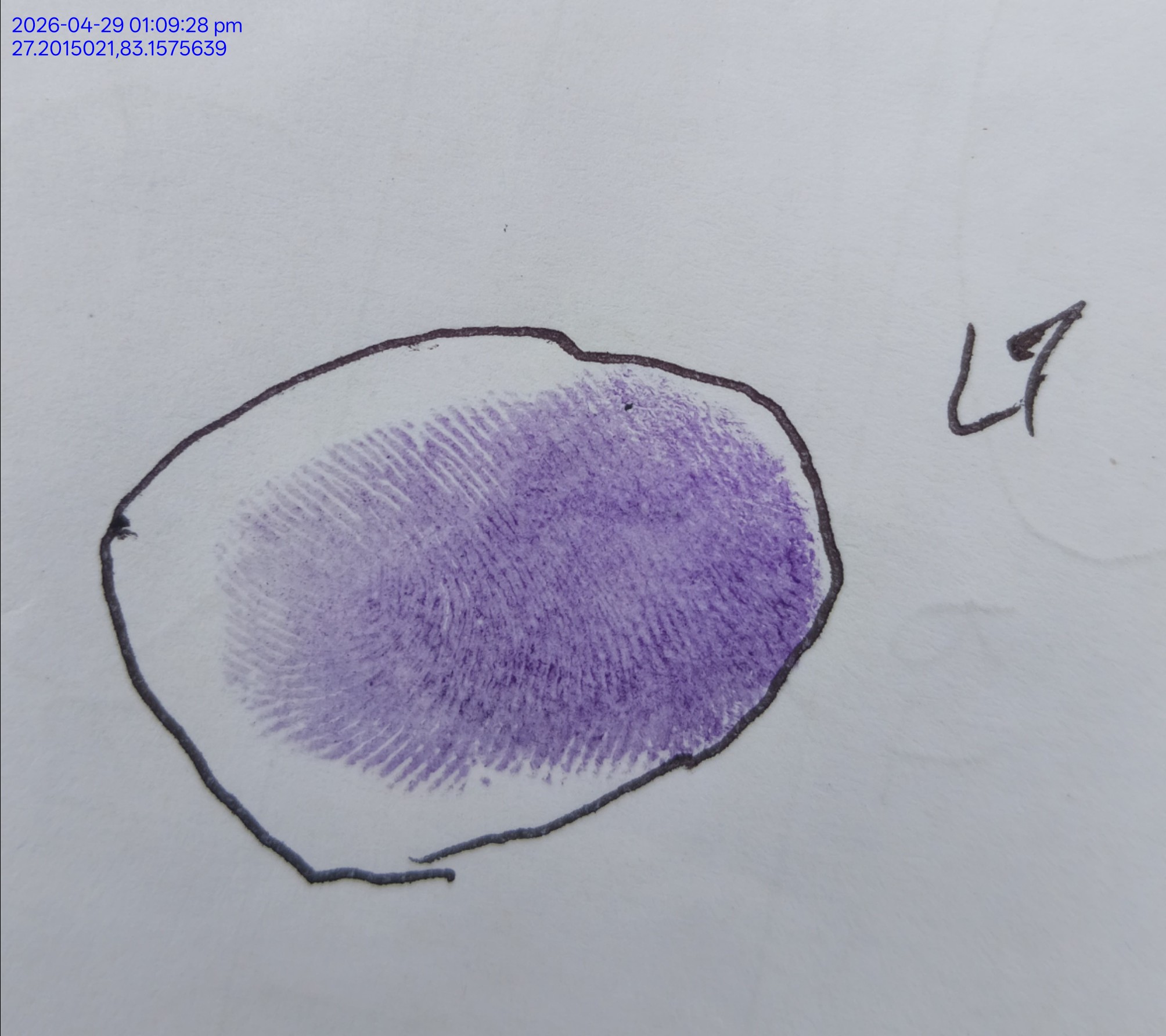 13augitem