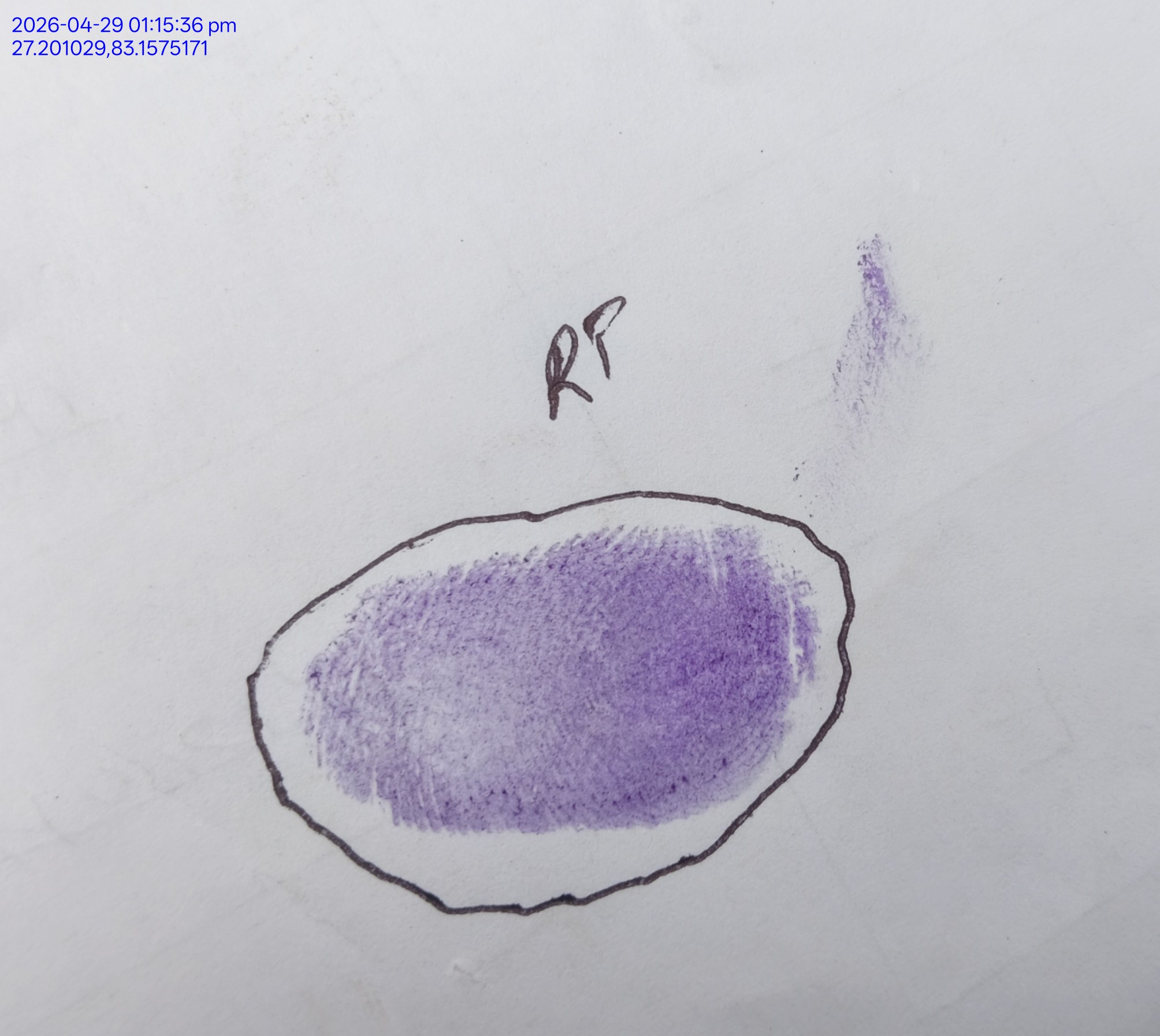 13augitem