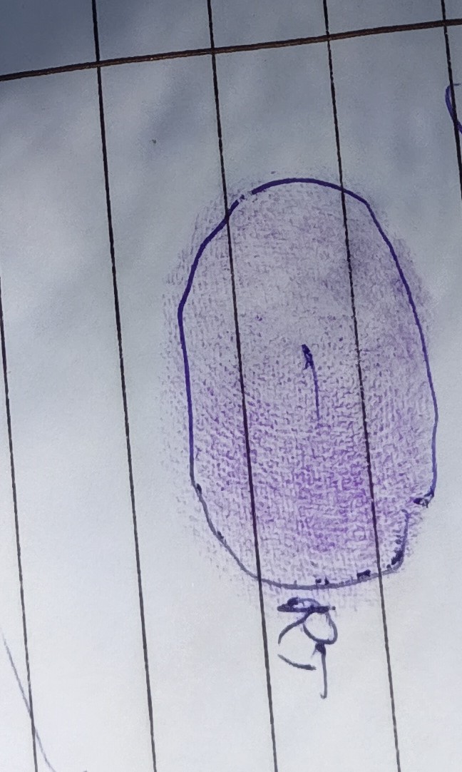 13augitem