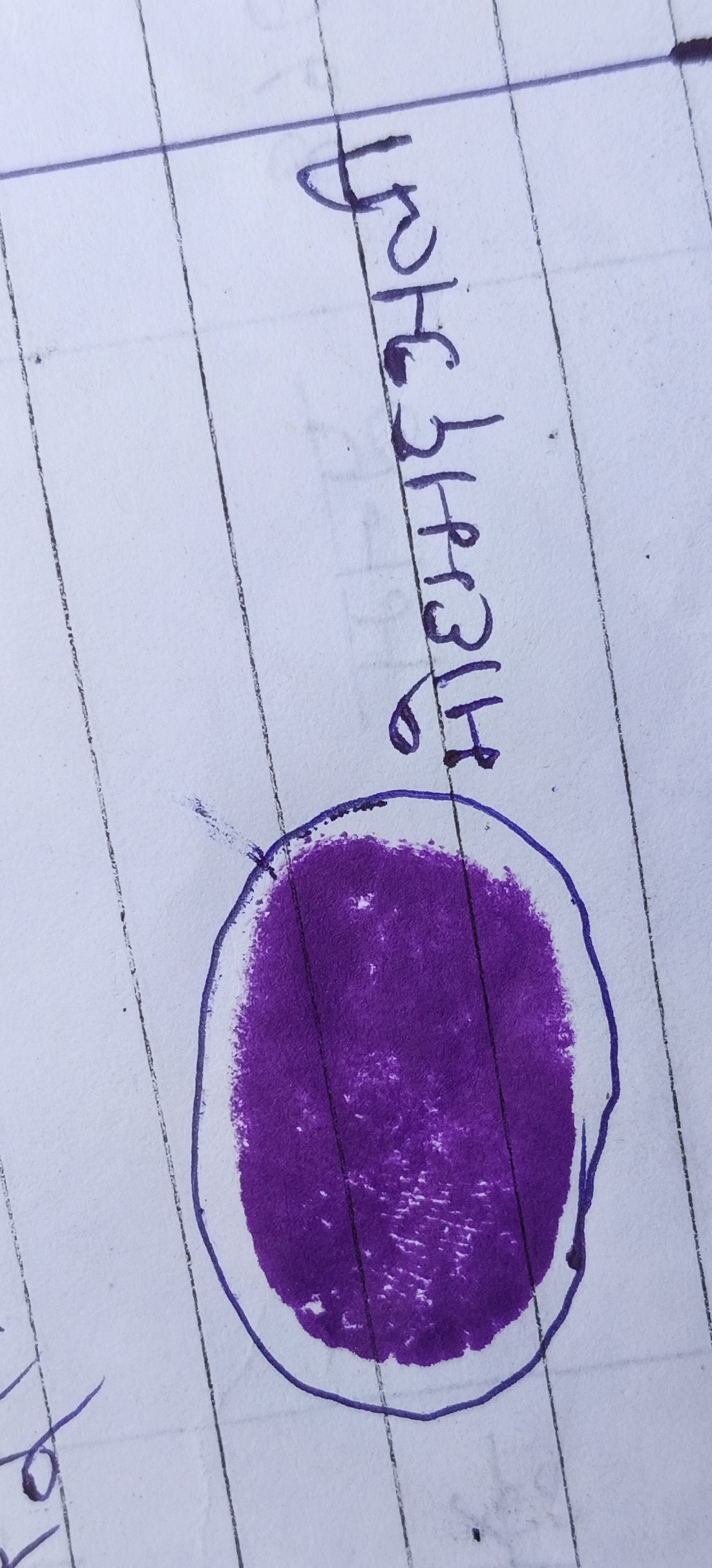 13augitem
